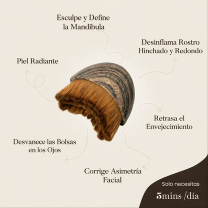 Cepillo de contorno linfático