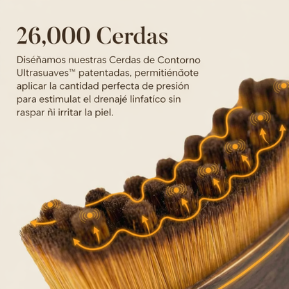 Cepillo de contorno linfático