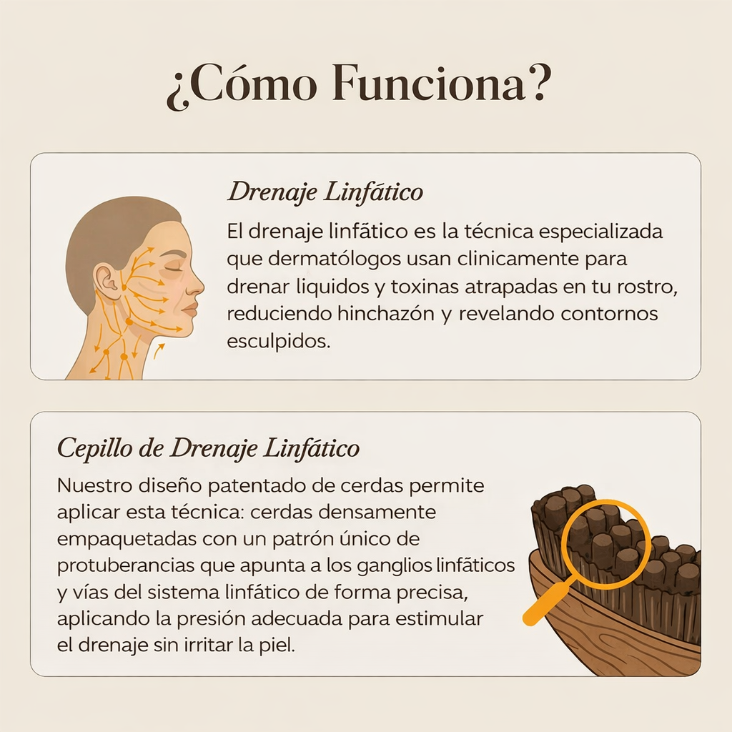 Cepillo de contorno linfático